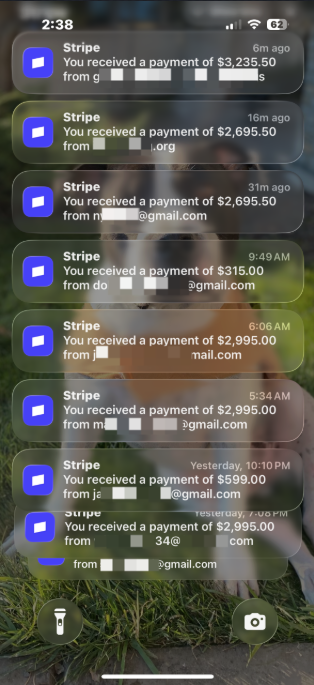 Stripe payment notifications: $315 to $3,225