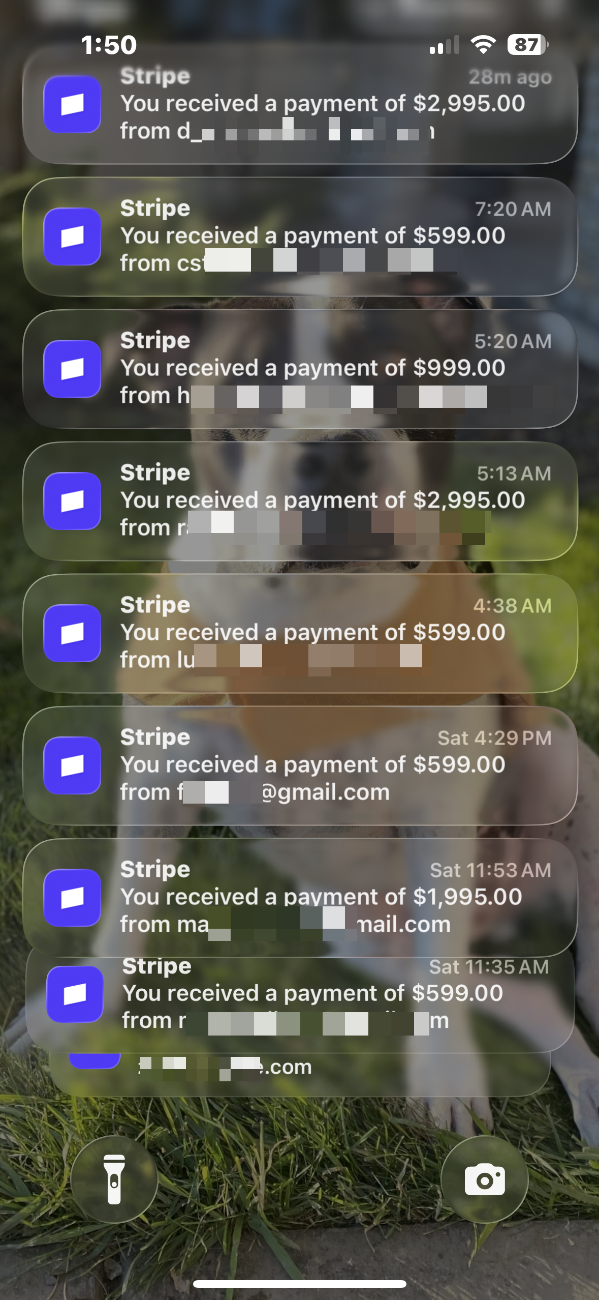 Stripe payment notifications: $599 to $2,995
