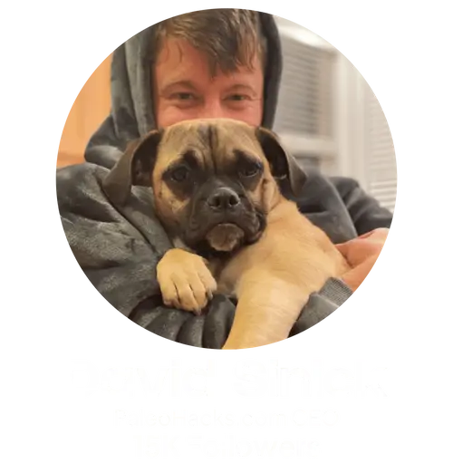 David Sinek